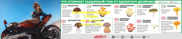 СК Армянск